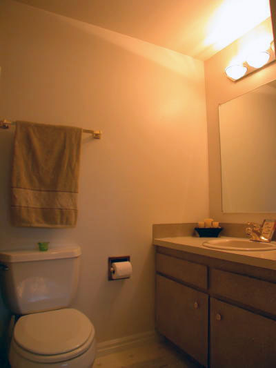 Lower level fireplace